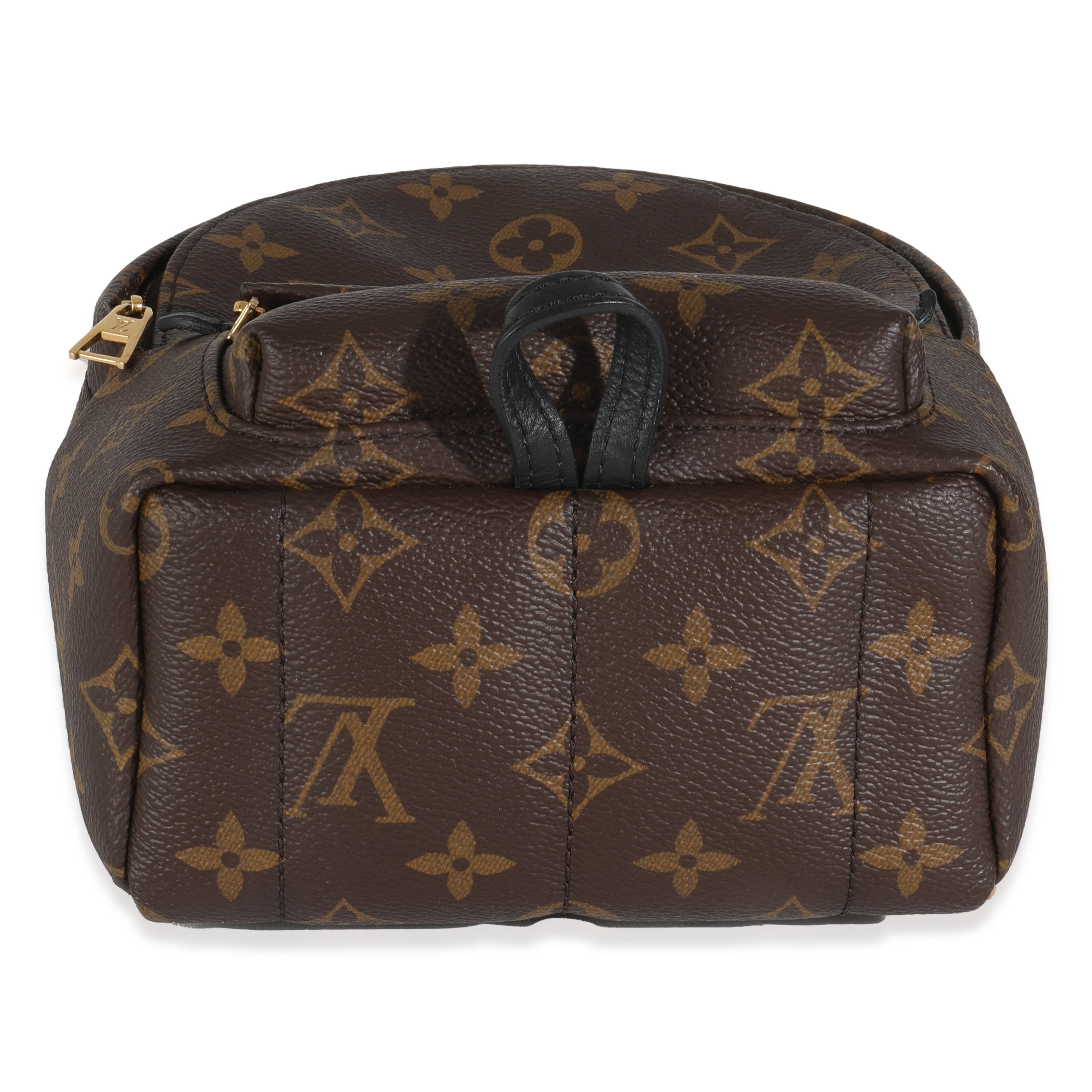 Louis Vuitton Monogram Canvas Mini Palm Springs