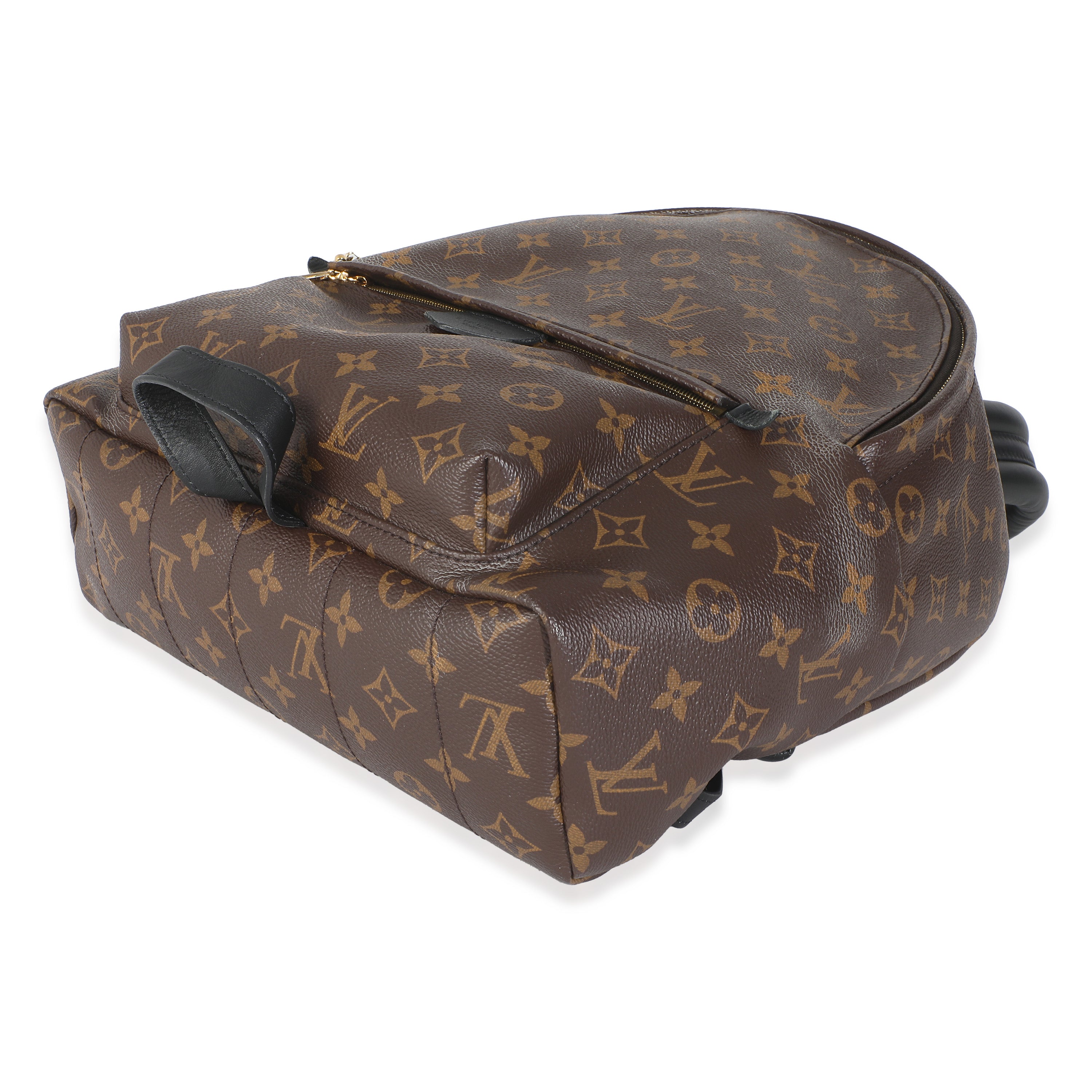 Louis Vuitton Monogram Canvas Palm Springs MM