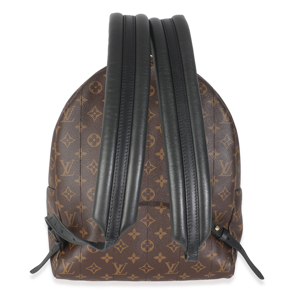 Louis Vuitton Monogram Canvas Palm Springs MM