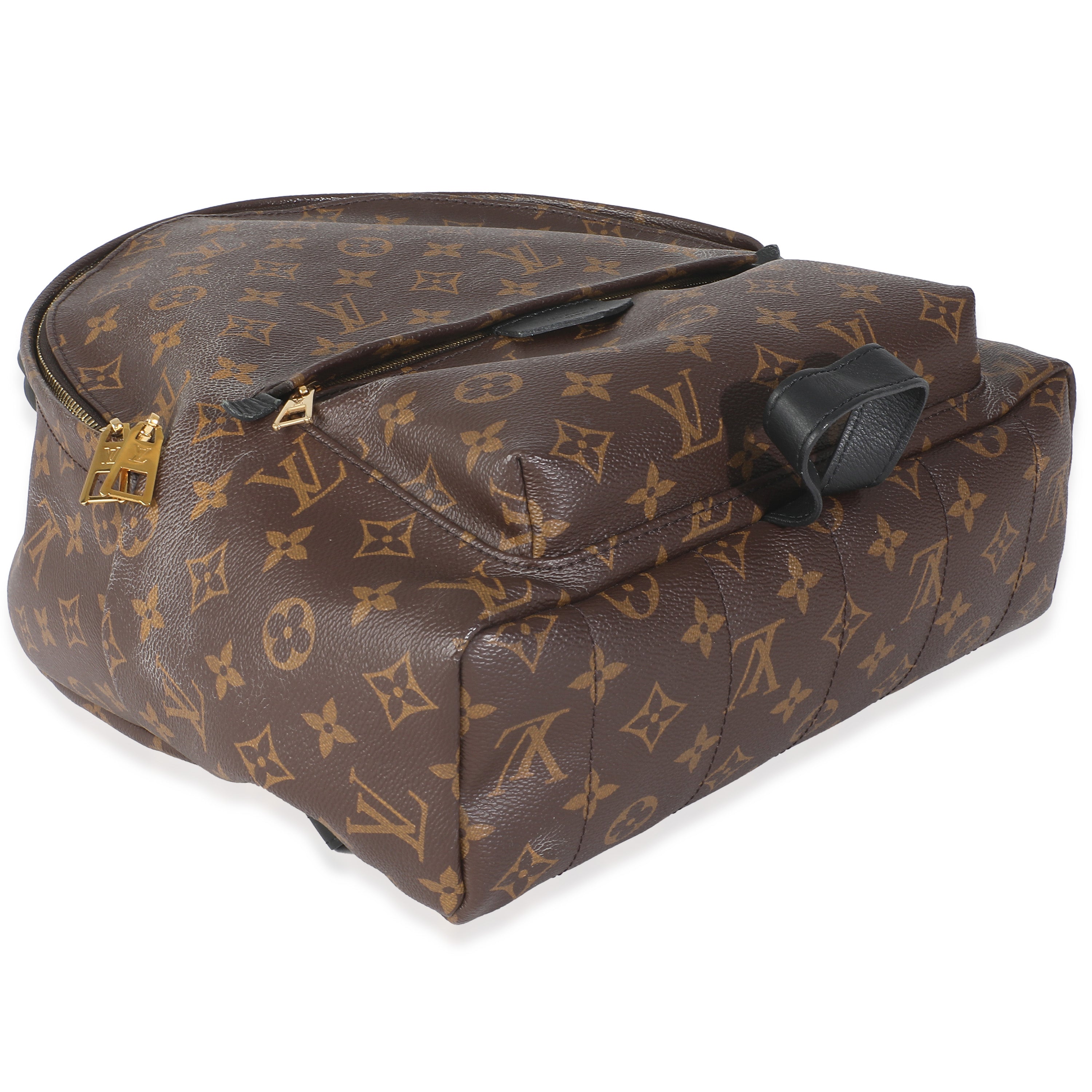 Louis Vuitton Monogram Canvas Palm Springs MM