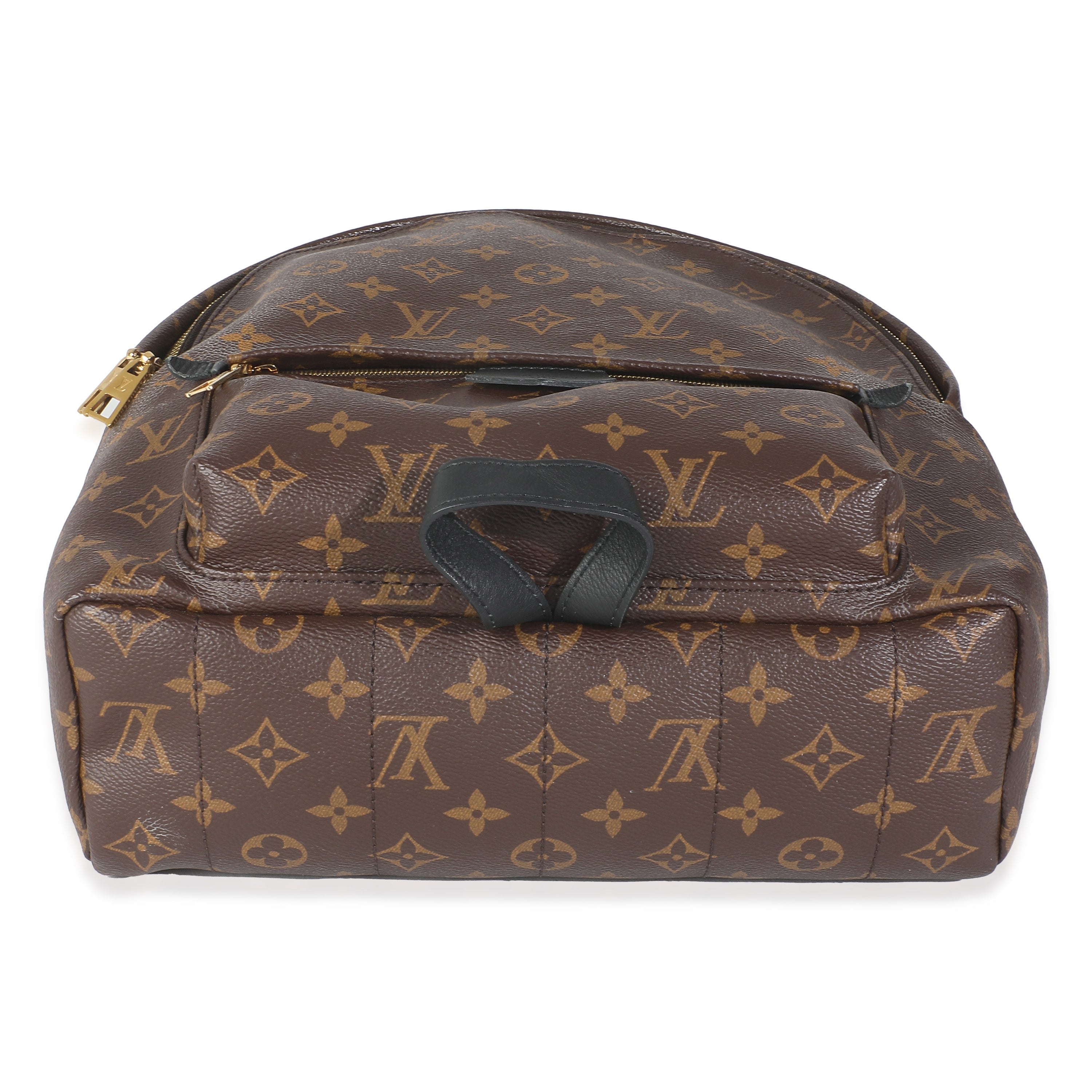 Louis Vuitton Monogram Canvas Palm Springs MM