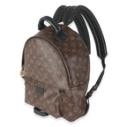 Louis Vuitton Monogram Canvas Palm Springs MM