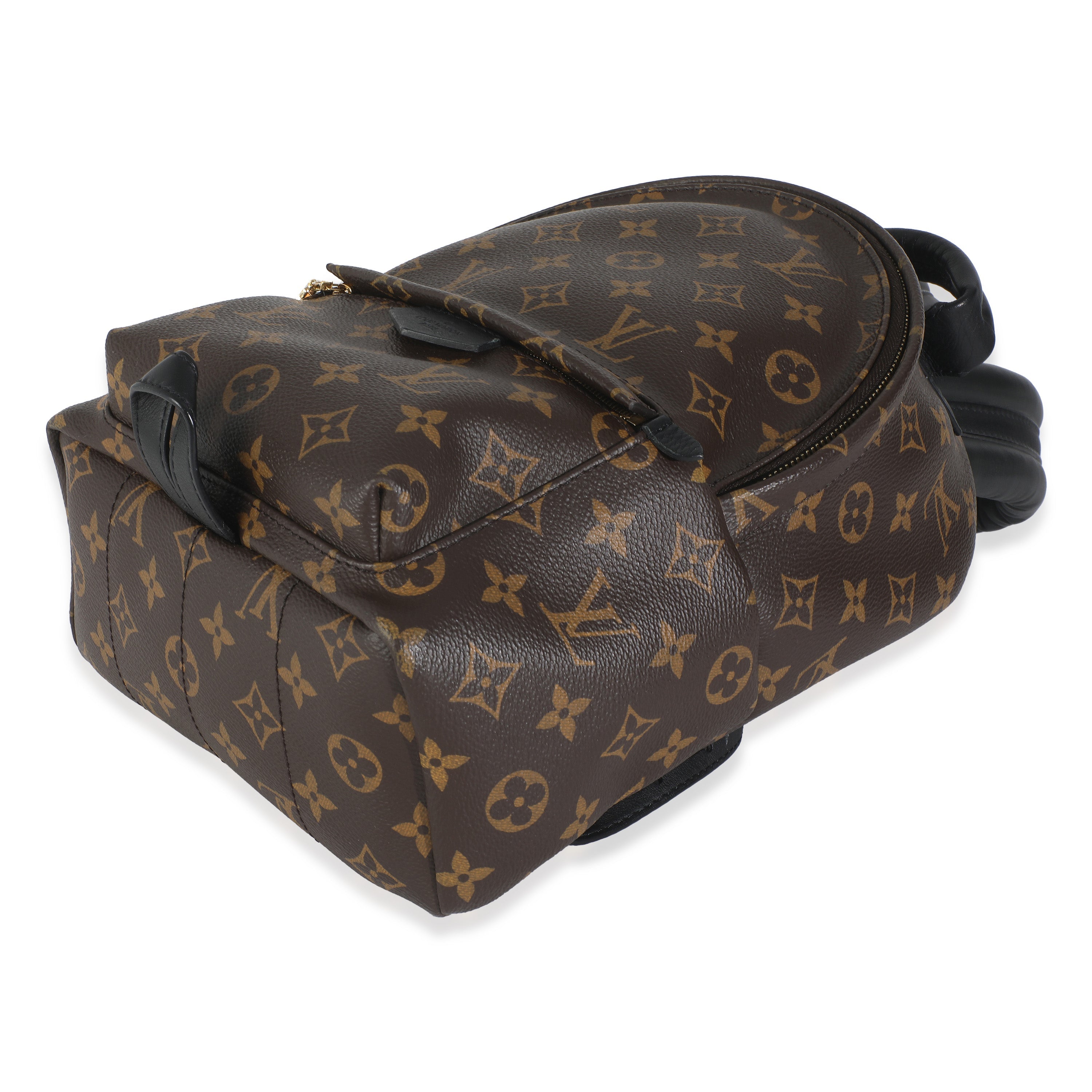 Louis Vuitton Monogram Canvas Palm Springs PM