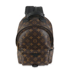 Louis Vuitton Monogram Canvas Palm Springs PM