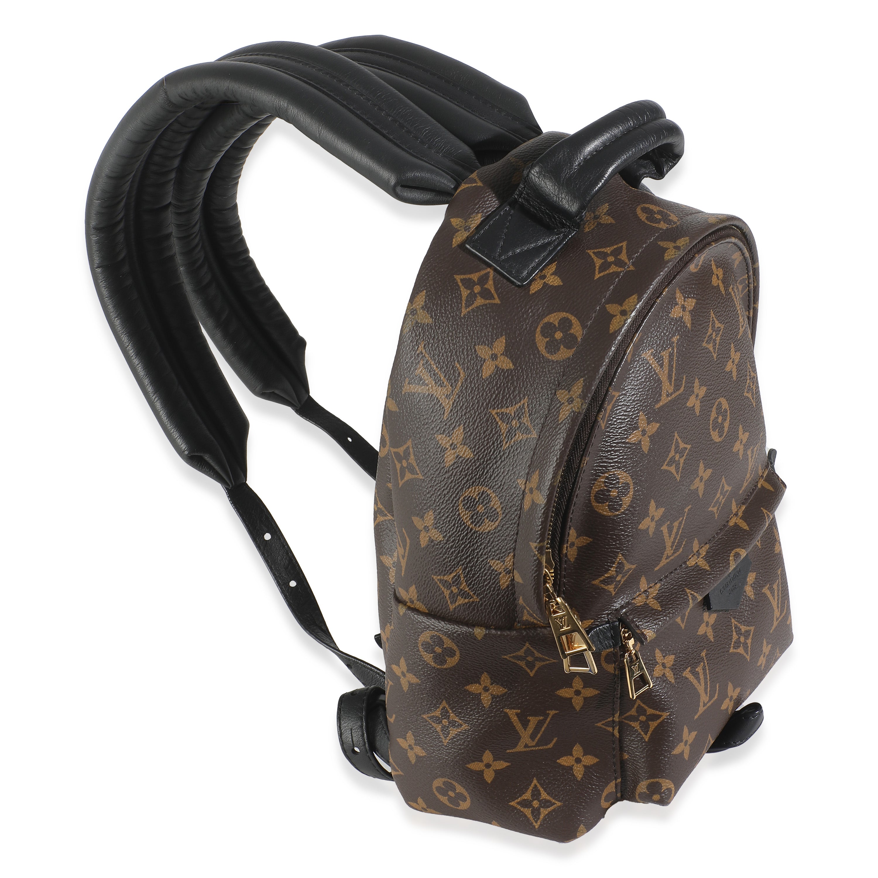 Louis Vuitton Monogram Canvas Palm Springs PM