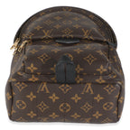 Louis Vuitton Monogram Canvas Palm Springs PM