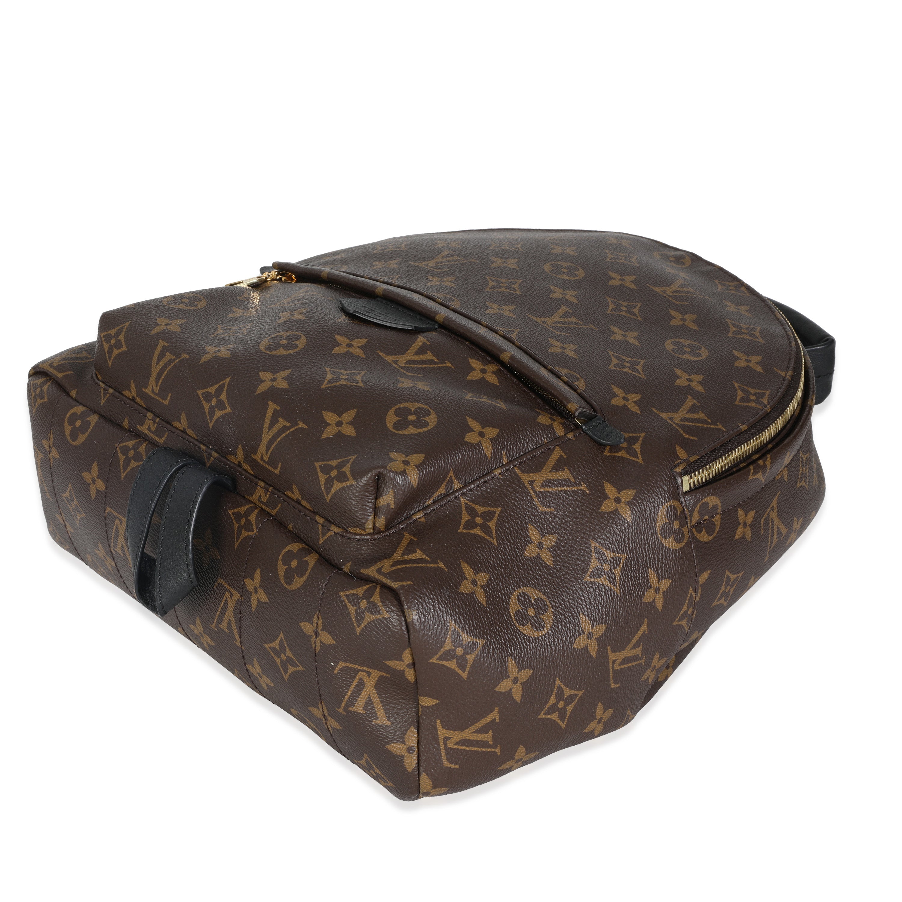 Louis Vuitton Monogram Canvas Palm Springs MM