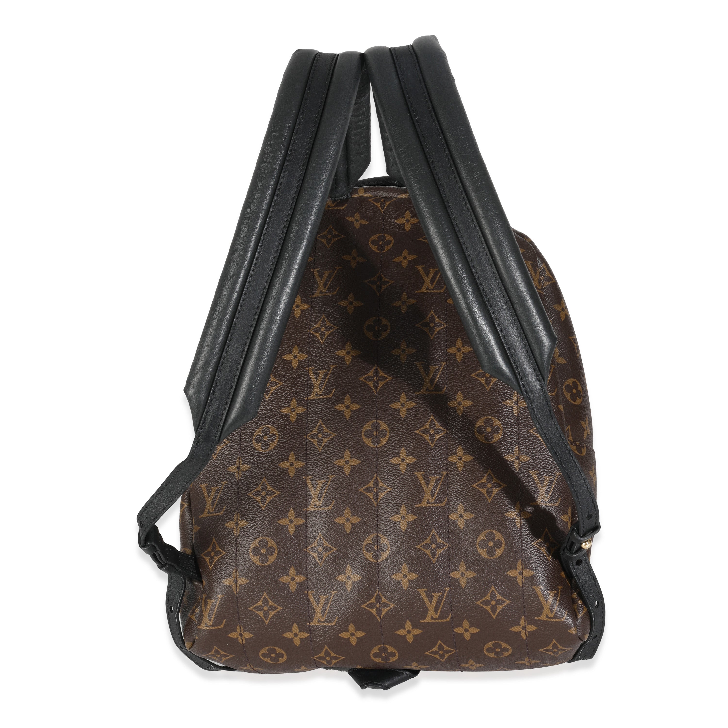 Louis Vuitton Monogram Canvas Palm Springs MM