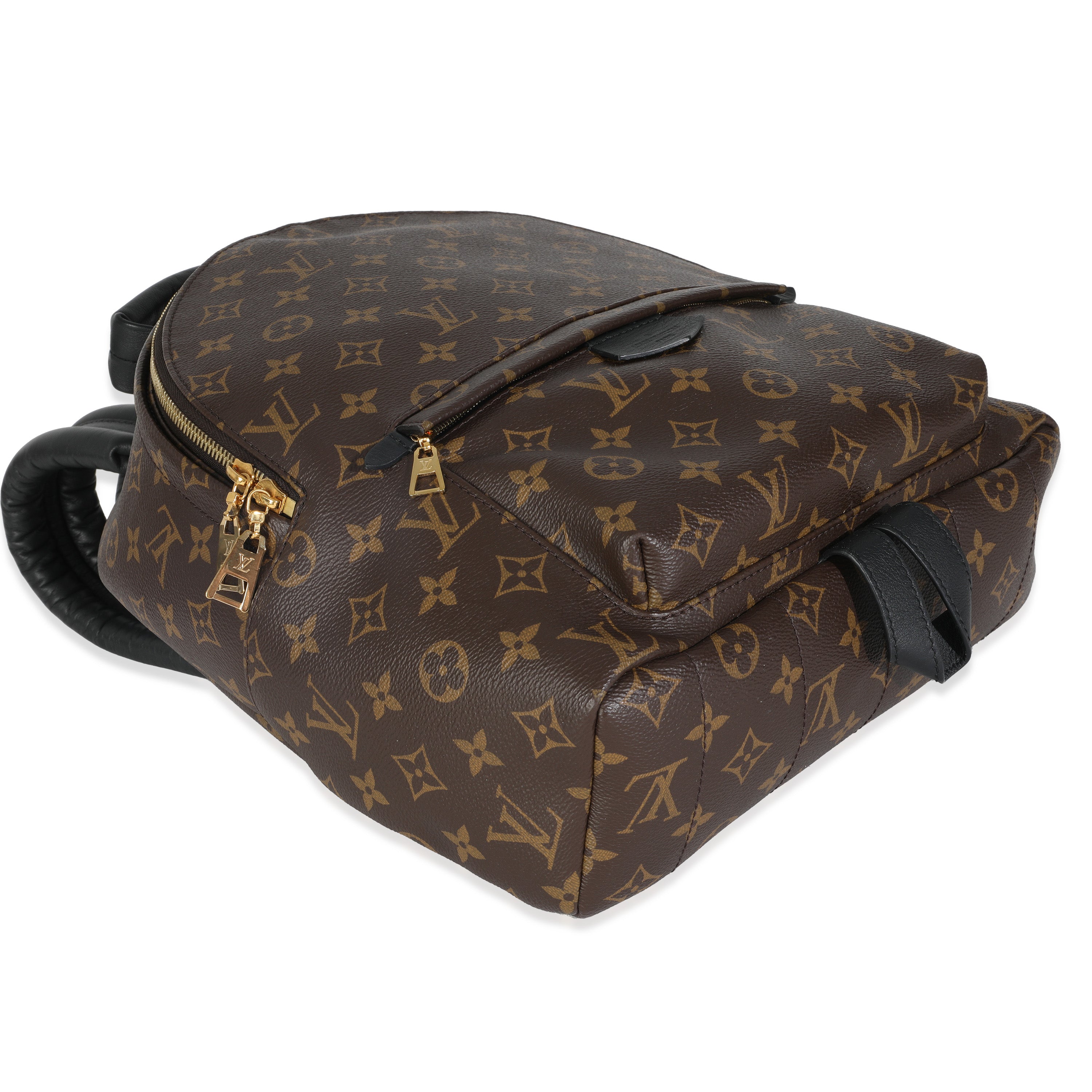 Louis Vuitton Monogram Canvas Palm Springs MM