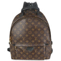 Louis Vuitton Monogram Canvas Palm Springs MM