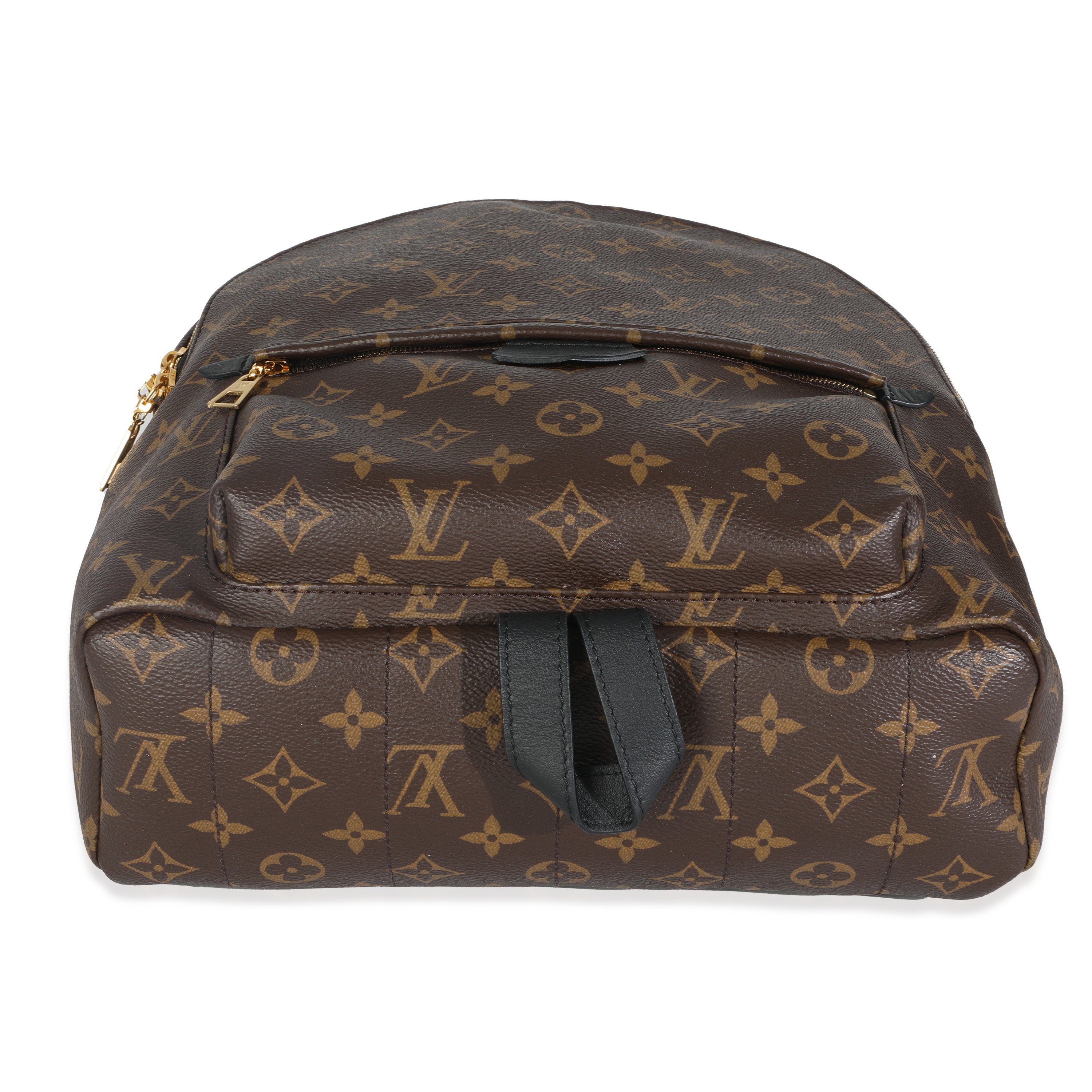 Louis Vuitton Monogram Canvas Palm Springs MM
