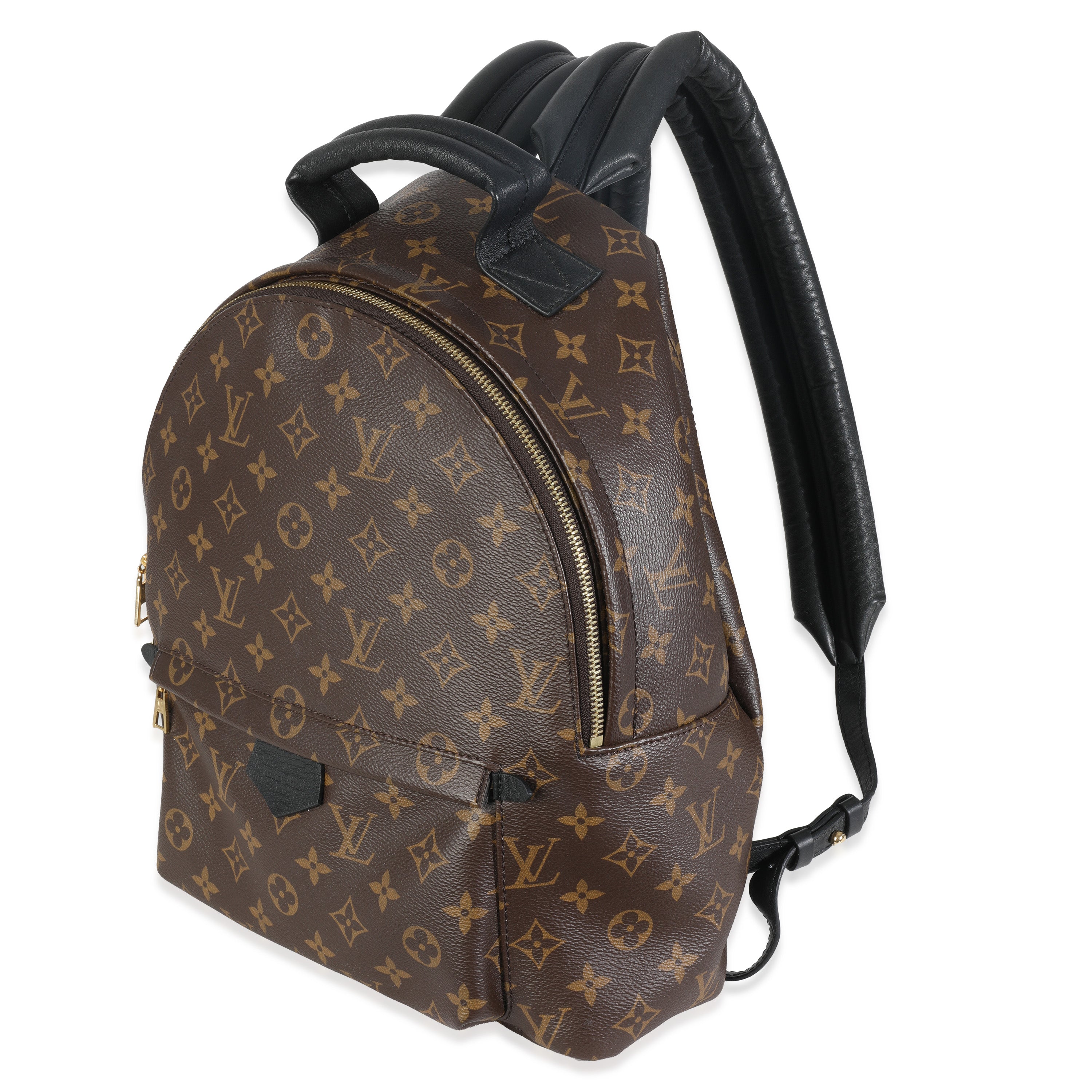 Louis Vuitton Monogram Canvas Palm Springs MM