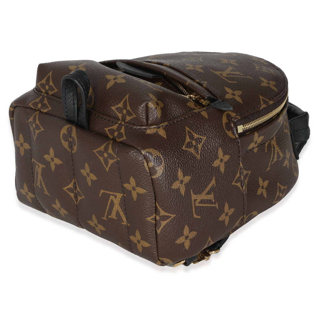 Louis Vuitton Monogram Canvas Mini Palm Springs