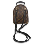 Louis Vuitton Monogram Canvas Mini Palm Springs