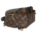 Louis Vuitton Monogram Canvas Mini Palm Springs