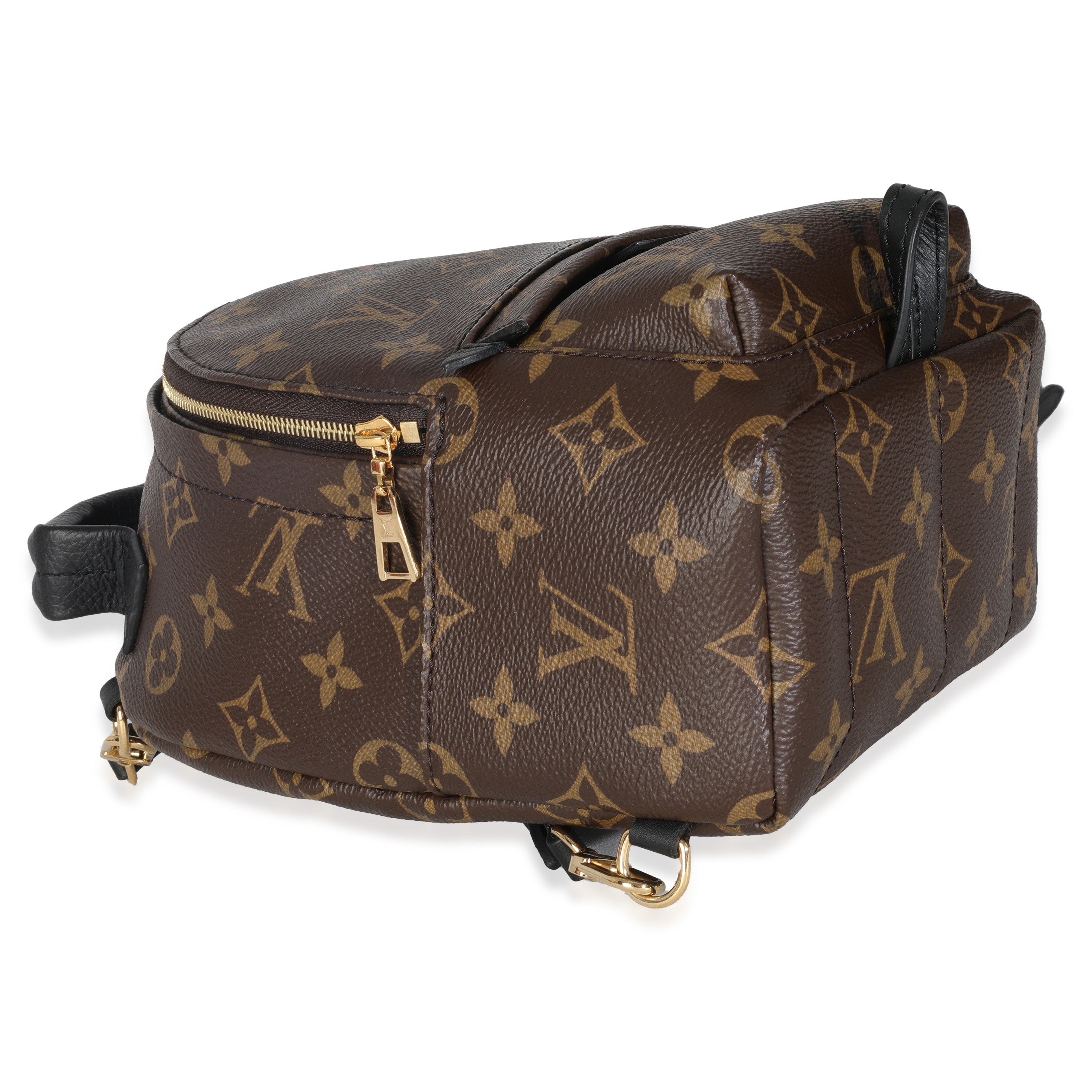 Louis Vuitton Monogram Canvas Mini Palm Springs