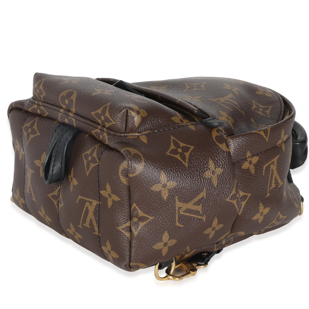 Louis Vuitton Monogram Canvas Mini Palm Springs
