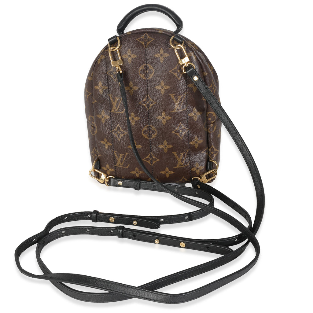 Louis Vuitton Monogram Canvas Mini Palm Springs