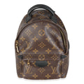 Louis Vuitton Monogram Canvas Mini Palm Springs