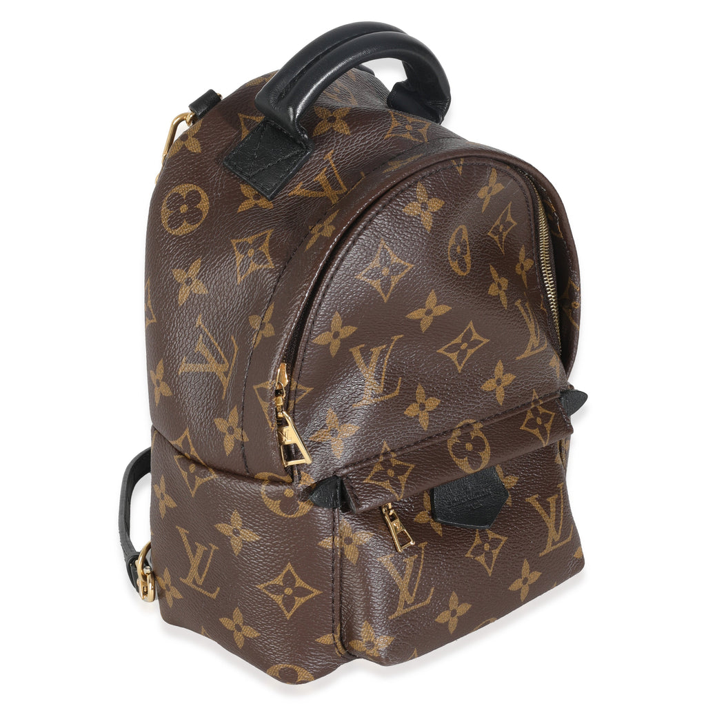Louis Vuitton Monogram Canvas Mini Palm Springs