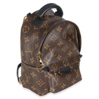Louis Vuitton Monogram Canvas Mini Palm Springs