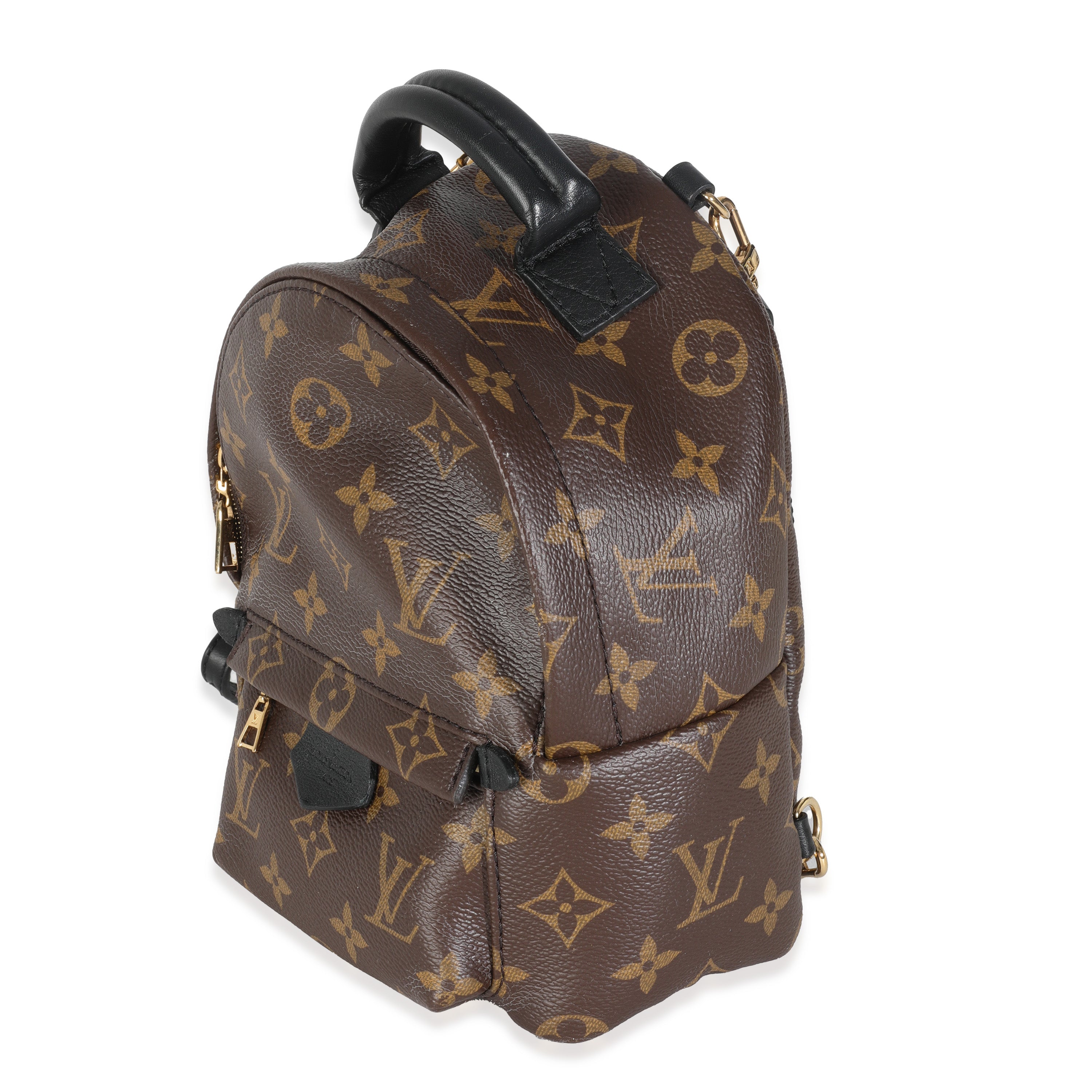 Louis Vuitton Monogram Canvas Mini Palm Springs
