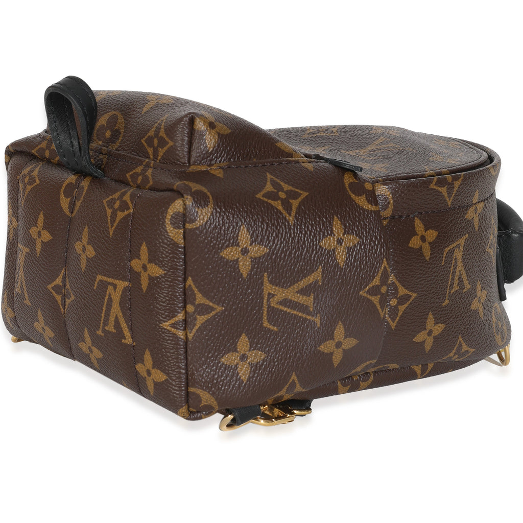 Louis Vuitton Monogram Canvas Mini Palm Springs Backpack