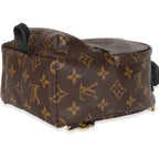Louis Vuitton Monogram Canvas Mini Palm Springs Backpack