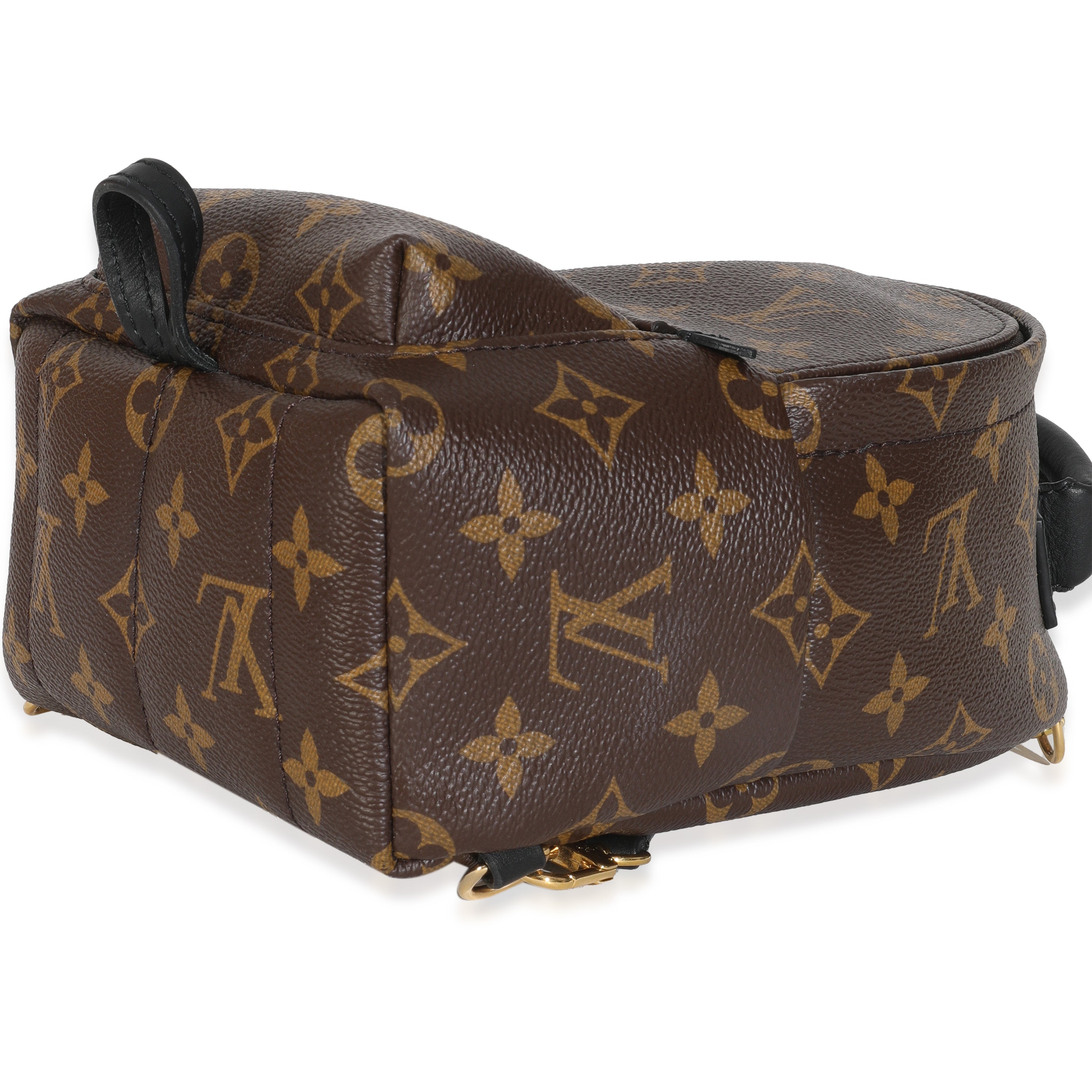 Louis Vuitton Monogram Canvas Mini Palm Springs Backpack