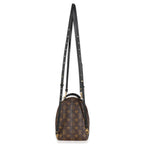 Louis Vuitton Monogram Canvas Mini Palm Springs Backpack