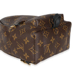 Louis Vuitton Monogram Canvas Mini Palm Springs Backpack