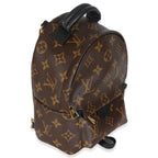 Louis Vuitton Monogram Canvas Mini Palm Springs Backpack