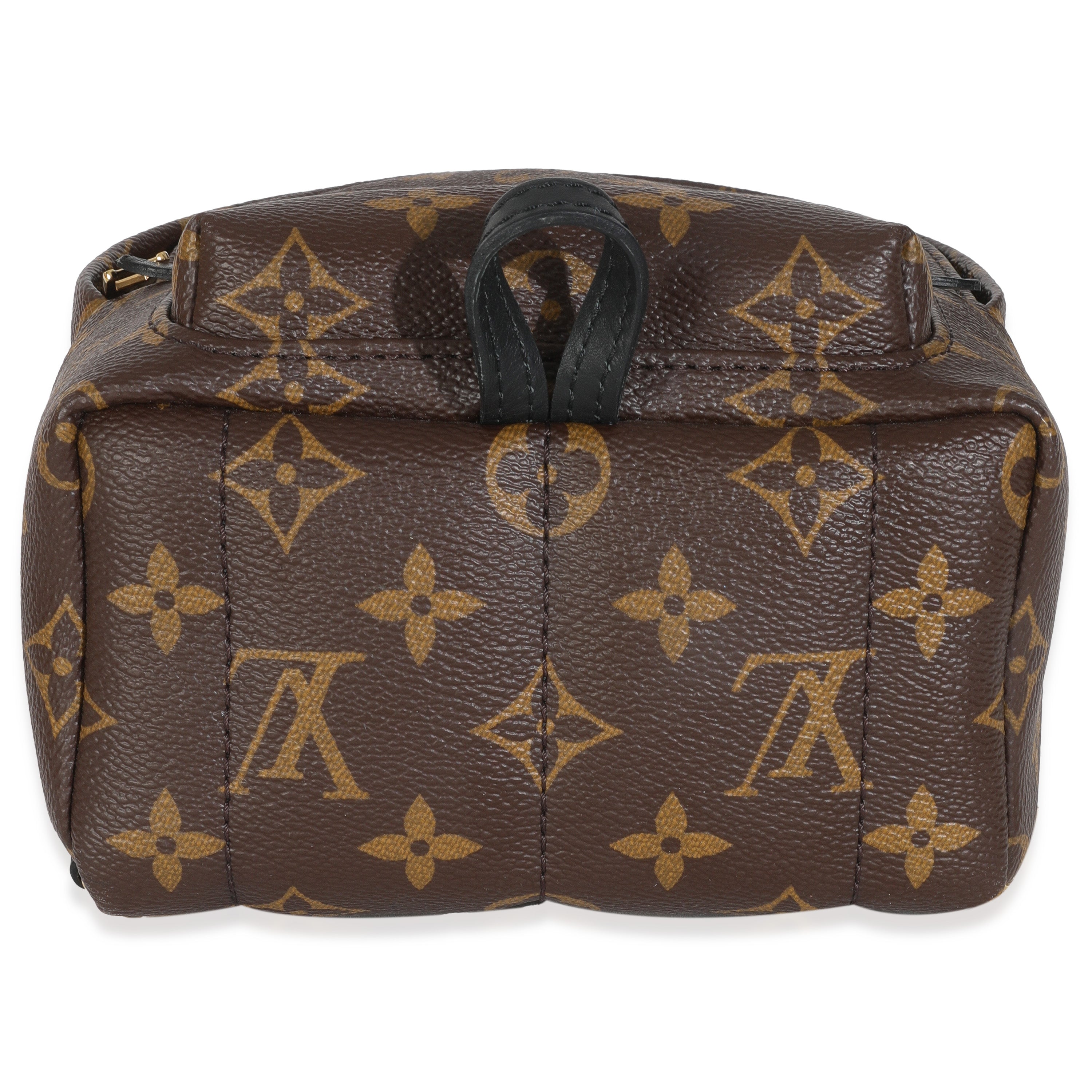Louis Vuitton Monogram Canvas Mini Palm Springs Backpack