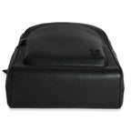 Louis Vuitton Black Taiga Avenue Backpack