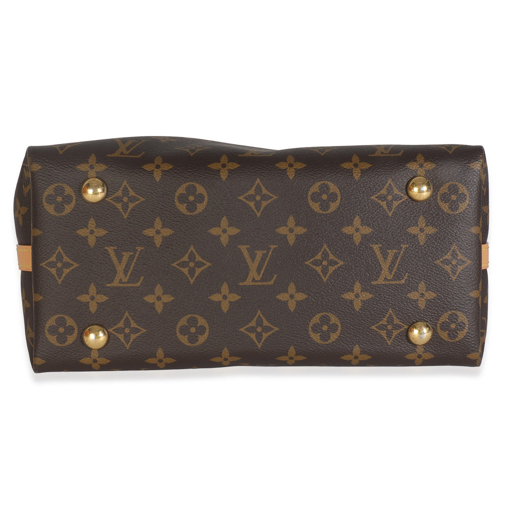Louis Vuitton Monogram Canvas CarryAll PM