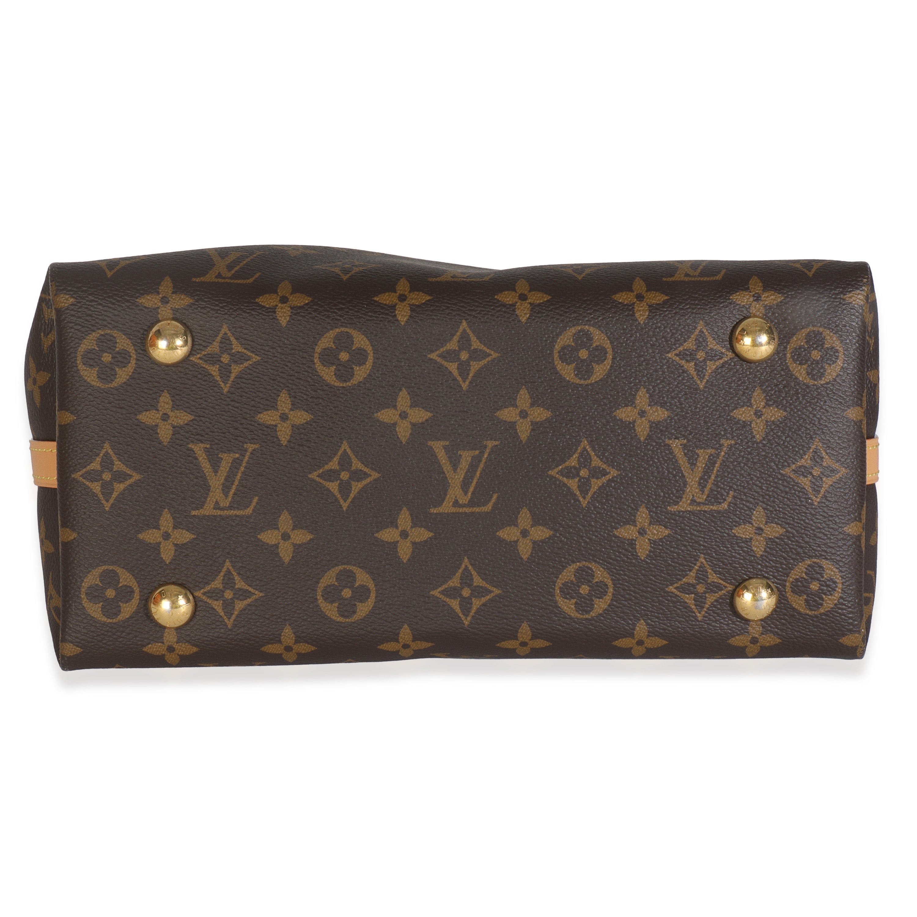Louis Vuitton Monogram Canvas CarryAll PM