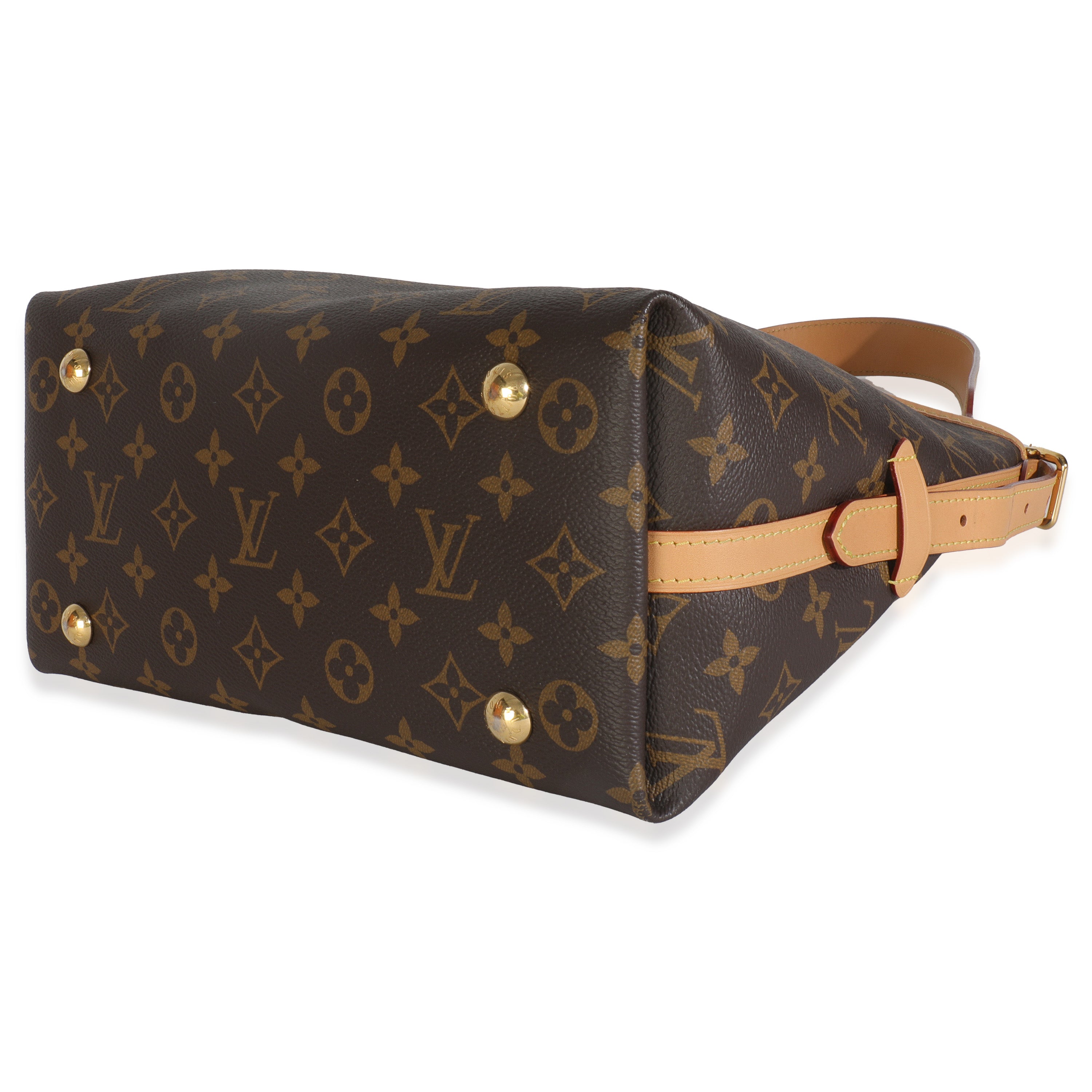 Louis Vuitton Monogram Canvas CarryAll PM