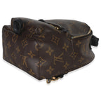 Louis Vuitton Monogram Canvas Mini Palm Springs