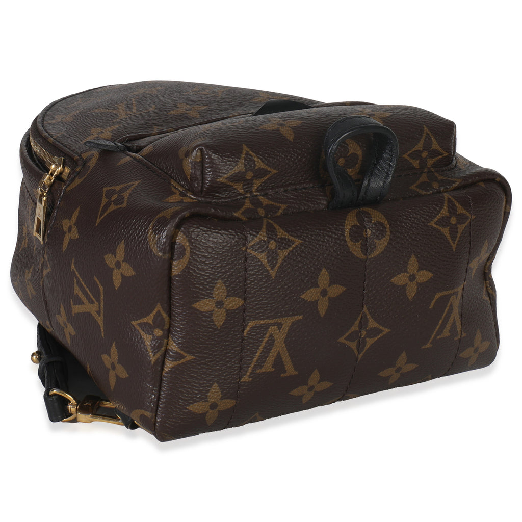 Louis Vuitton Monogram Canvas Mini Palm Springs