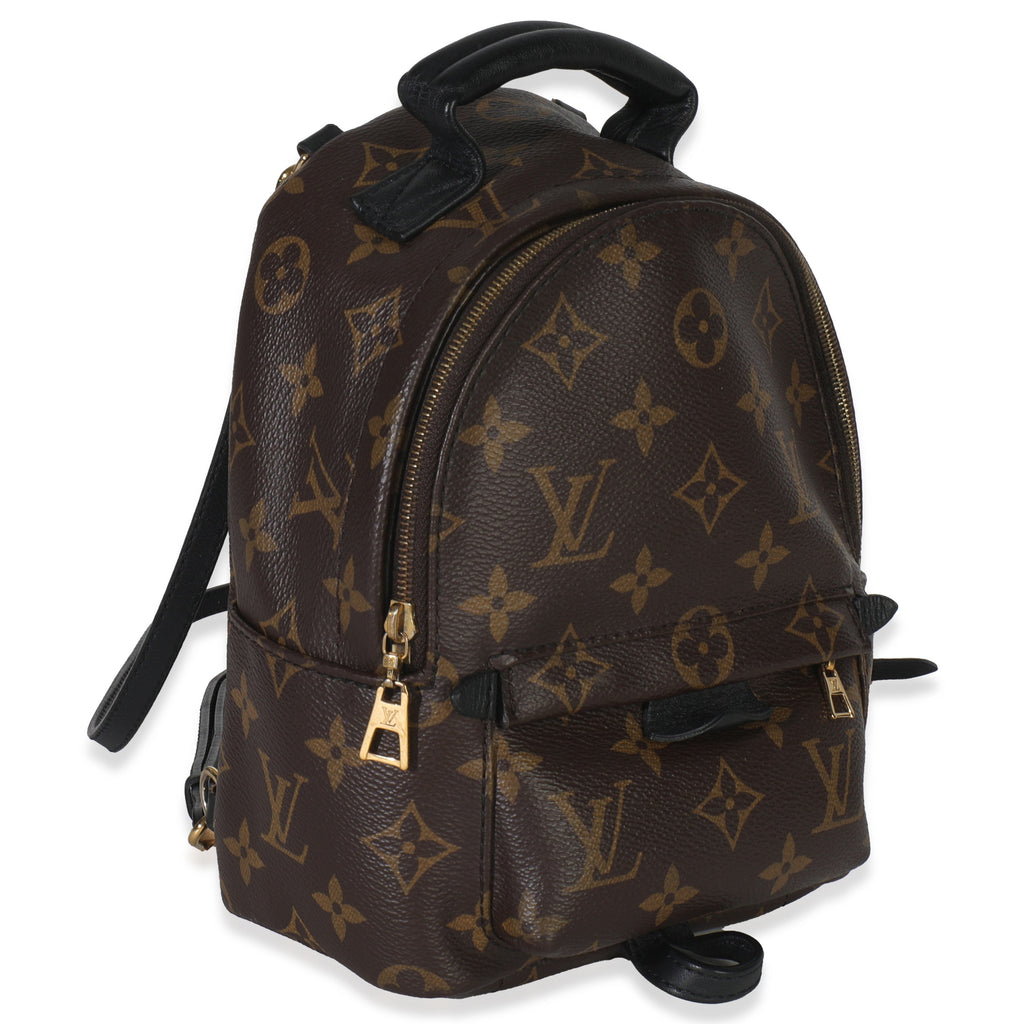 Louis Vuitton Monogram Canvas Mini Palm Springs