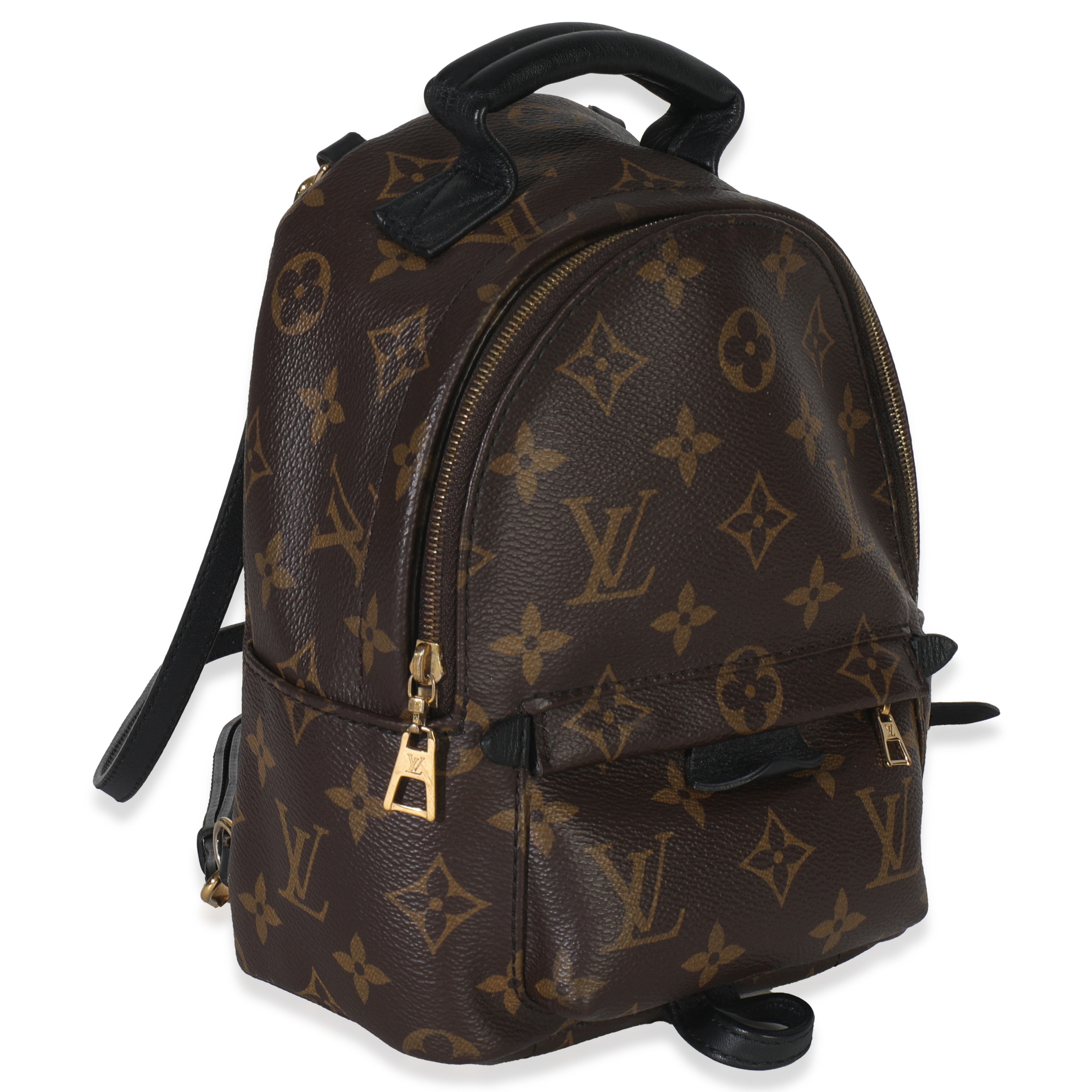 Louis Vuitton Monogram Canvas Mini Palm Springs