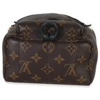Louis Vuitton Monogram Canvas Mini Palm Springs