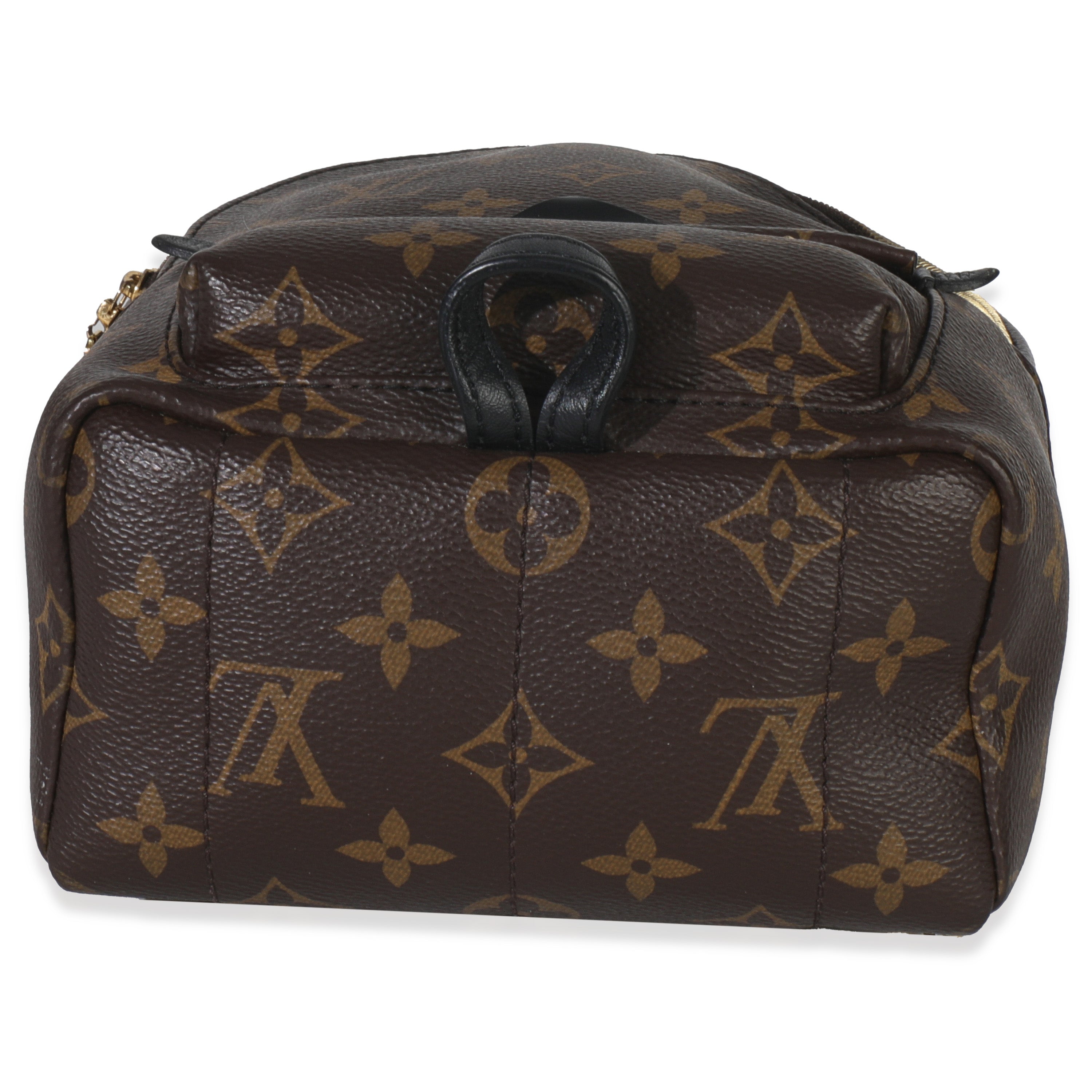 Louis Vuitton Monogram Canvas Mini Palm Springs