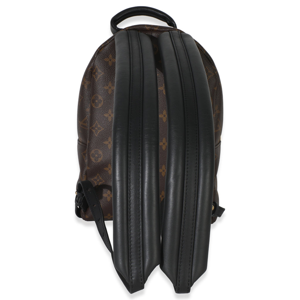Louis Vuitton Reverse Monogram Canvas Palm Springs PM