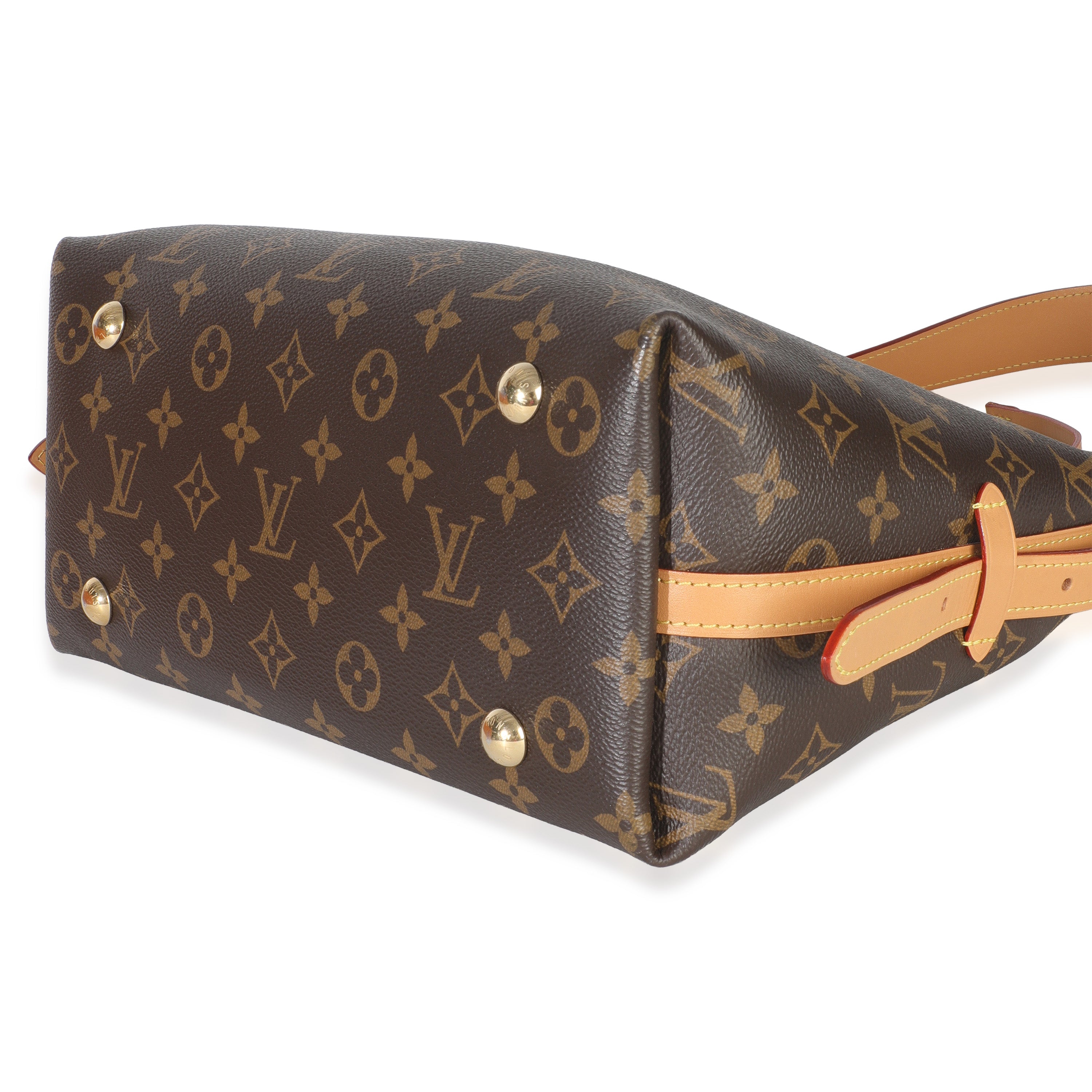 Louis Vuitton Monogram Canvas CarryAll PM