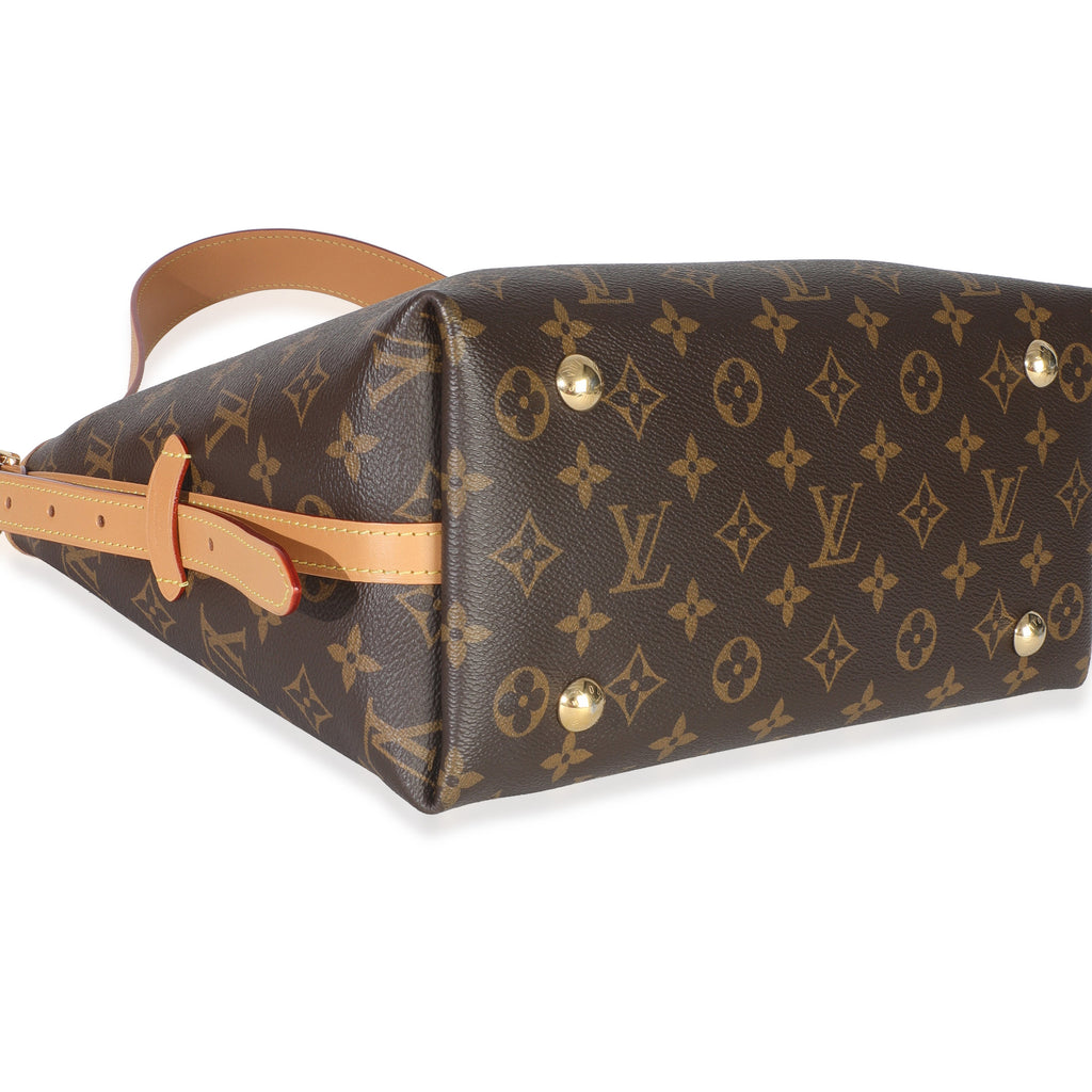 Louis Vuitton Monogram Canvas CarryAll PM
