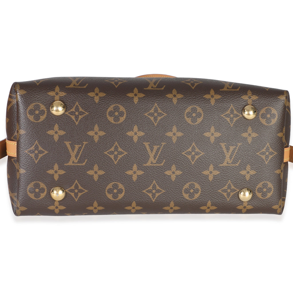 Louis Vuitton Monogram Canvas CarryAll PM