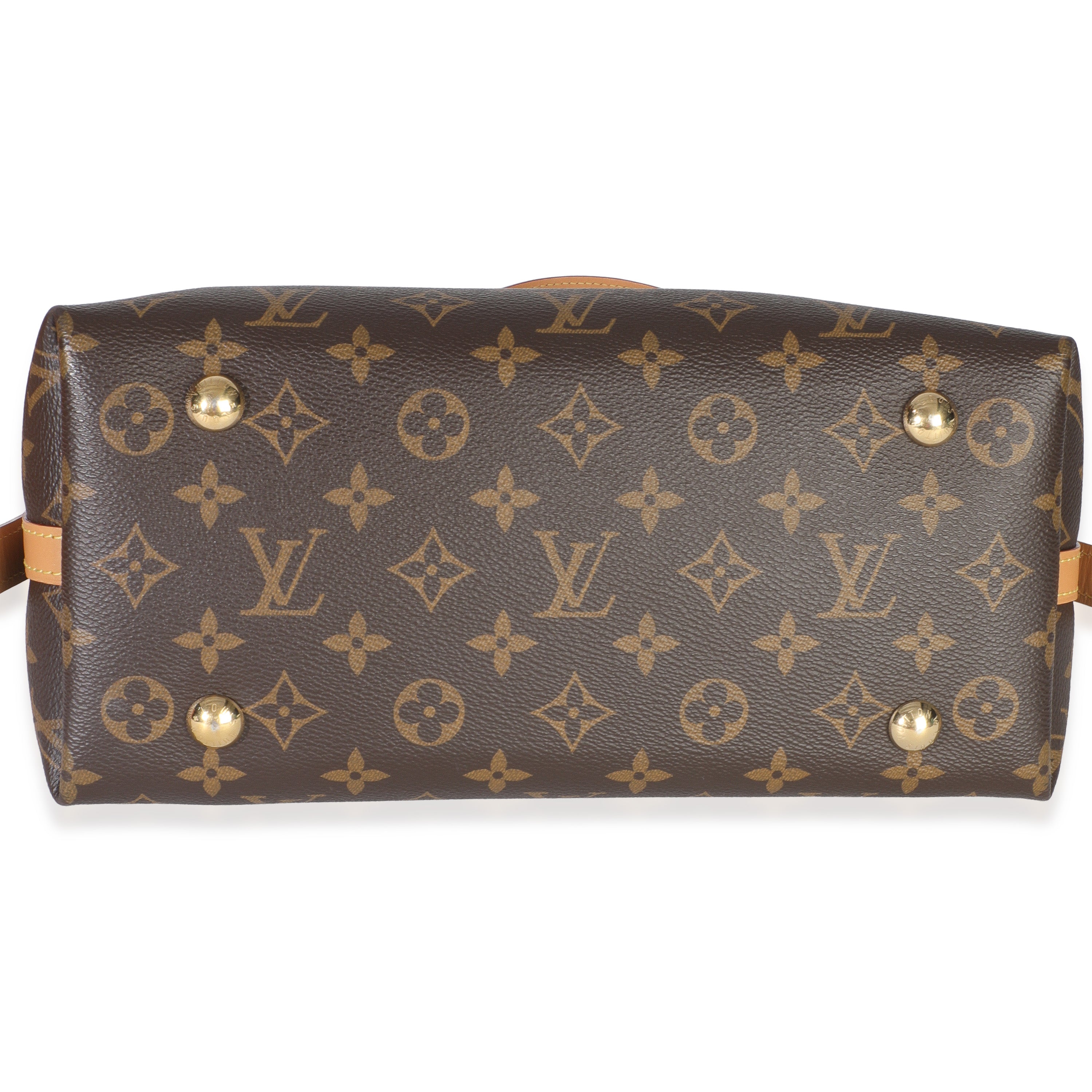 Louis Vuitton Monogram Canvas CarryAll PM