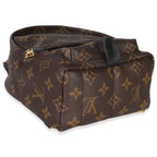 Louis Vuitton Monogram Canvas Mini Palm Springs