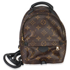 Louis Vuitton Monogram Canvas Mini Palm Springs